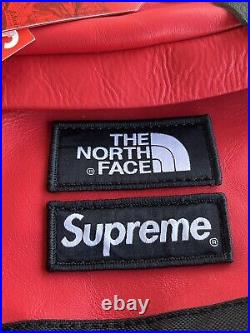 FW17 Supreme/The North Face Leather Day Pack Red New With Tags