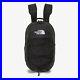 Genuine-the-North-Face-Borealis-mini-backpack-BLACK-01-fag