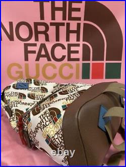 Gucci The North Face Backpack unisex bag