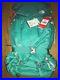 NWT-The-North-Face-Women-s-Banchee-65-Backpack-Pool-Green-Frame-New-Hiking-239-01-jx