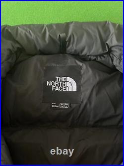 New Puffer Down Jacket 700 The North Face Free Shipping