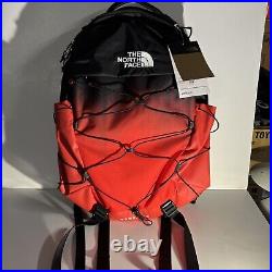 North Face Bag Pack borealis