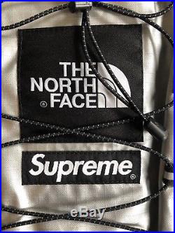 SUPREME x The North Face Metallic Borealis Backpack Silver Chrome TNF New