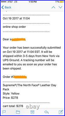 Supreme North Face Leather Day Pack YELLOW Deadstock FW17 Withemail TNF Arabic