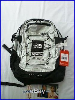 Supreme The North Face Backpack Borealis Metallic Silver Brand New S/S 2018