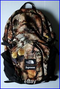 Supreme The North Face Leaves Backpack Excellent Condition