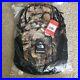 Supreme-The-North-Face-Pocono-Backpack-Leaves-Fw16-Brand-New-01-ct
