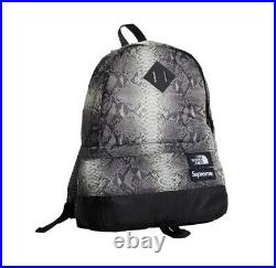 Supreme The North Face Printed Snakeskin Black Daypack Backpack SS'18 TNF