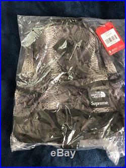 Supreme The North Face Printed Snakeskin Black Daypack Backpack SS 18 TNF