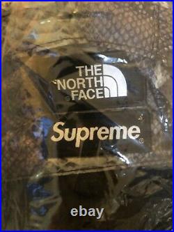 Supreme The North Face Printed Snakeskin Black Daypack Backpack SS'18 TNF