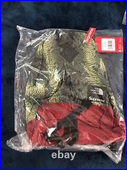 Supreme The North Face Printed Snakeskin Green Daypack Backpack SS 18 TNF