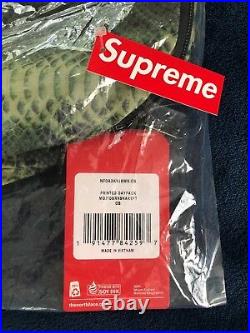 Supreme The North Face Printed Snakeskin Green Daypack Backpack SS 18 TNF