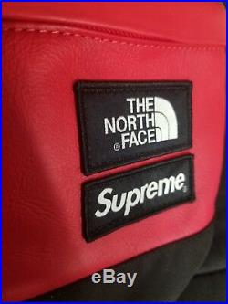 Supreme The North Face Red Leather Day Pack FW17 Backpack