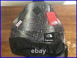 Supreme The North Face Snakeskin Lightweight Day Pack Black Backpack SS18