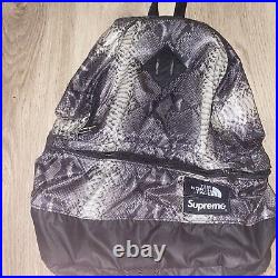 Supreme The North Face Snakeskin Lightweight Day Pack Black Grey Authentic SS18