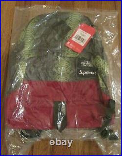 Supreme The North Face TNF Lightweight Daypack Backpack Snake Green SS18 DS New