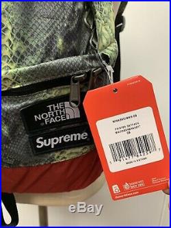 Supreme The North Face TNF Snakeskin Lightweight Day Pack Green Bookbag Backpack
