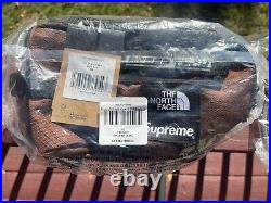 Supreme The North Face TNF Steep Tech Backpack BROWN FW22 NEW IN HAND, See Pics