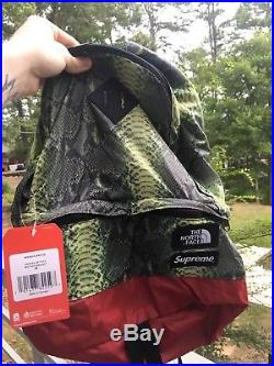 Supreme X The North Face Backpack Green snakeskin