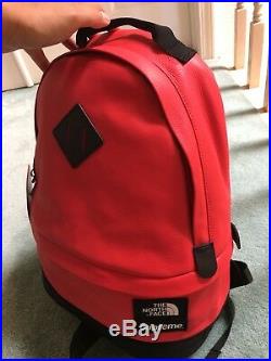 Supreme X The North Face Base TNF Leather Day Pack Backpack SS 2017