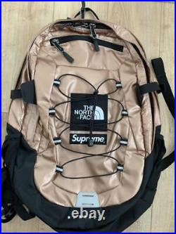 Supreme north face backpack