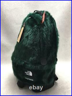 Supreme x THE NORTH FACE Backpack GRN