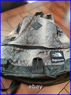 Supreme x The North Face Collaboration Snakeskin Backpack Black AUTHENTIC
