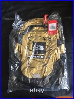 Supreme x The North Face Metallic Backpack Gold SS18