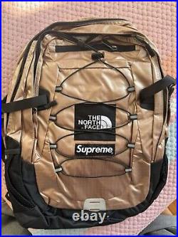 Supreme x The North Face Metallic Gold Backpack