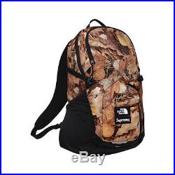 Supreme x The North Face Pocono Backpack Leaves