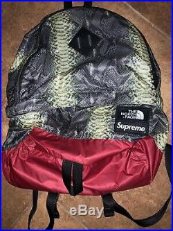 Supreme x The North Face (TNF) Snakeskin Green Red Backpack