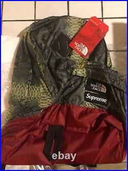Supreme x The North Face TNF Snakeskin Green Red Backpack