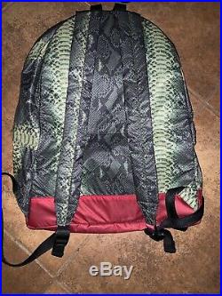 Supreme x The North Face (TNF) Snakeskin Green Red Backpack