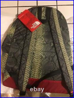 Supreme x The North Face TNF Snakeskin Green Red Backpack
