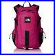 THE-NORTH-FACE-Backpack-30L-Hot-Shot-SE-Special-Edition-NM72008-DP-01-ayzn