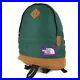 The-North-Face-Bag-Suede-Combi-Daypack-Rucksack-Backpack-Medium-Day-Pack-Nn7889N-01-bye