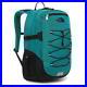 The-North-Face-Borealis-Classic-Green-Backpack-Travel-School-Bag-29L-Laptop-slee-01-hbvw