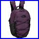 The-North-Face-Men-s-Backpack-NF0A52SW6NR-Purple-Newarticle-01-mfd